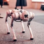 Robot Dog to Serve as Playful Responsibility-Ambassador in Budapest