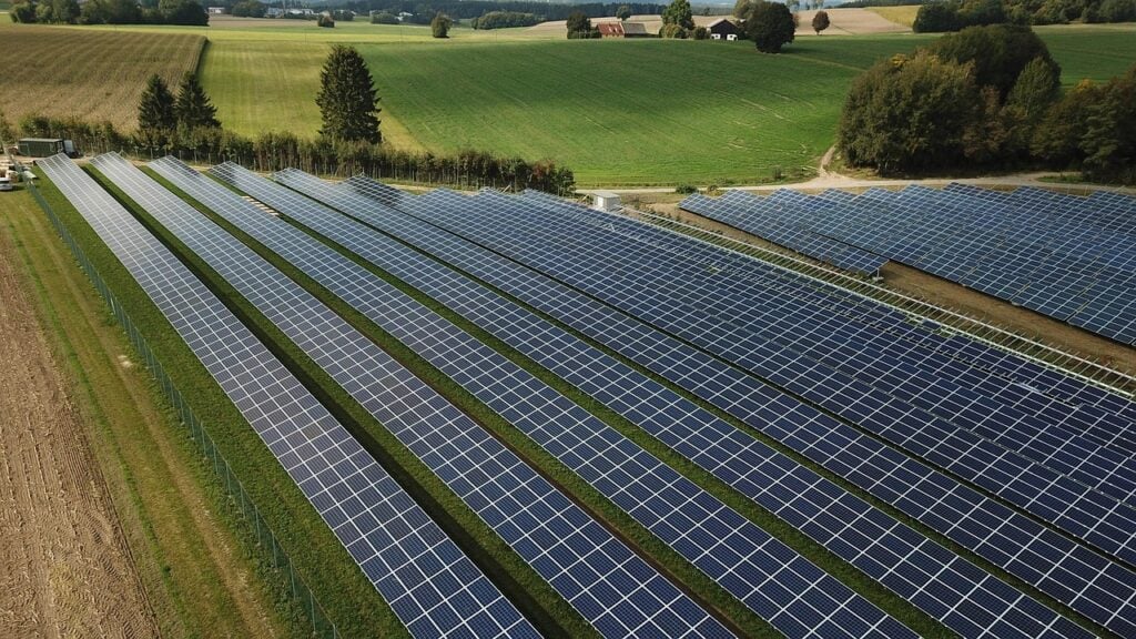 Unique Solar Park Starts Operations near Pécs post's picture
