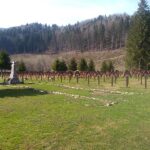 Political Provocation at Military Cemetery Deepens Romanian-Hungarian Tensions