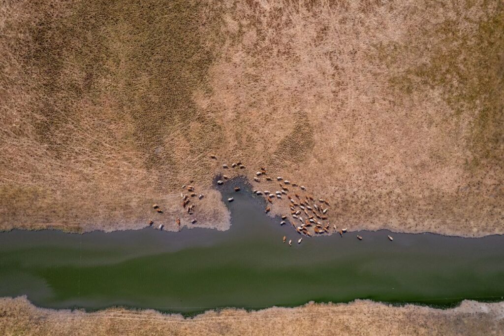 Severe Agricultural Drought Signals Repeat of 2022 Crisis post's picture