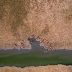Severe Agricultural Drought Signals Repeat of 2022 Crisis