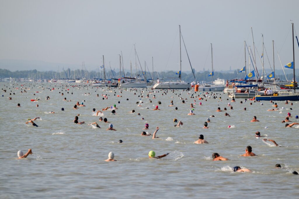 Record Number of Participants to Compete in This Year’s Balaton Swim post's picture