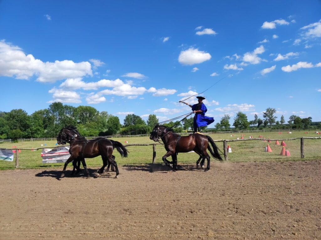Summer Spectacle Centered Around Horses Thrills Audiences – Gallery post's picture