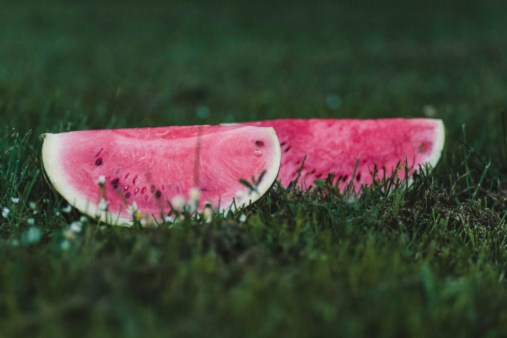 Melon Season Has Begun with Increased Exports and Sharp Decline in Imports post's picture