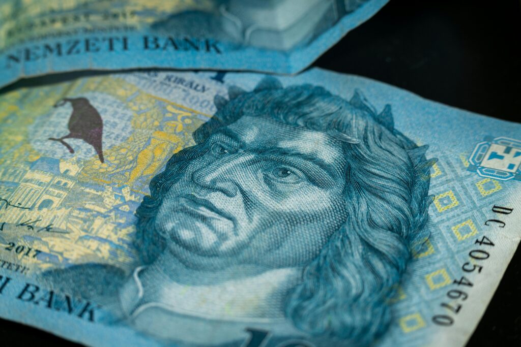 Wages Continue to Rise in Hungary post's picture