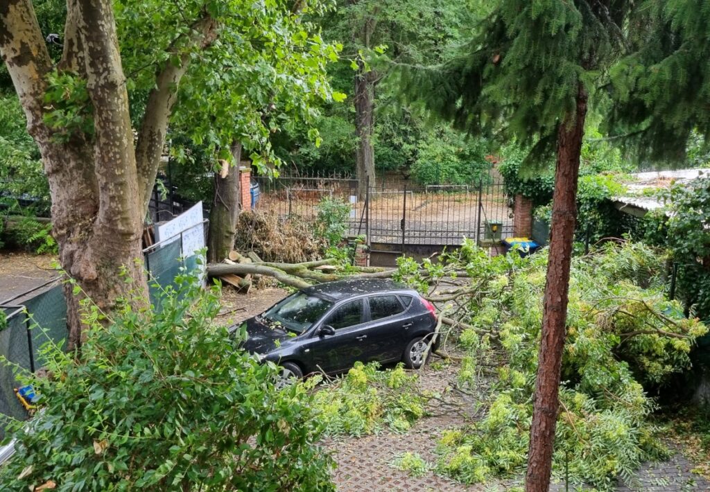 Weather-Warning Issued due to Severe Thunderstorms