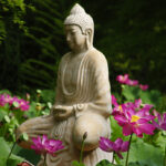 Lotus Days in Szeged: A Weekend of Far Eastern Culture and Blooming Beauty