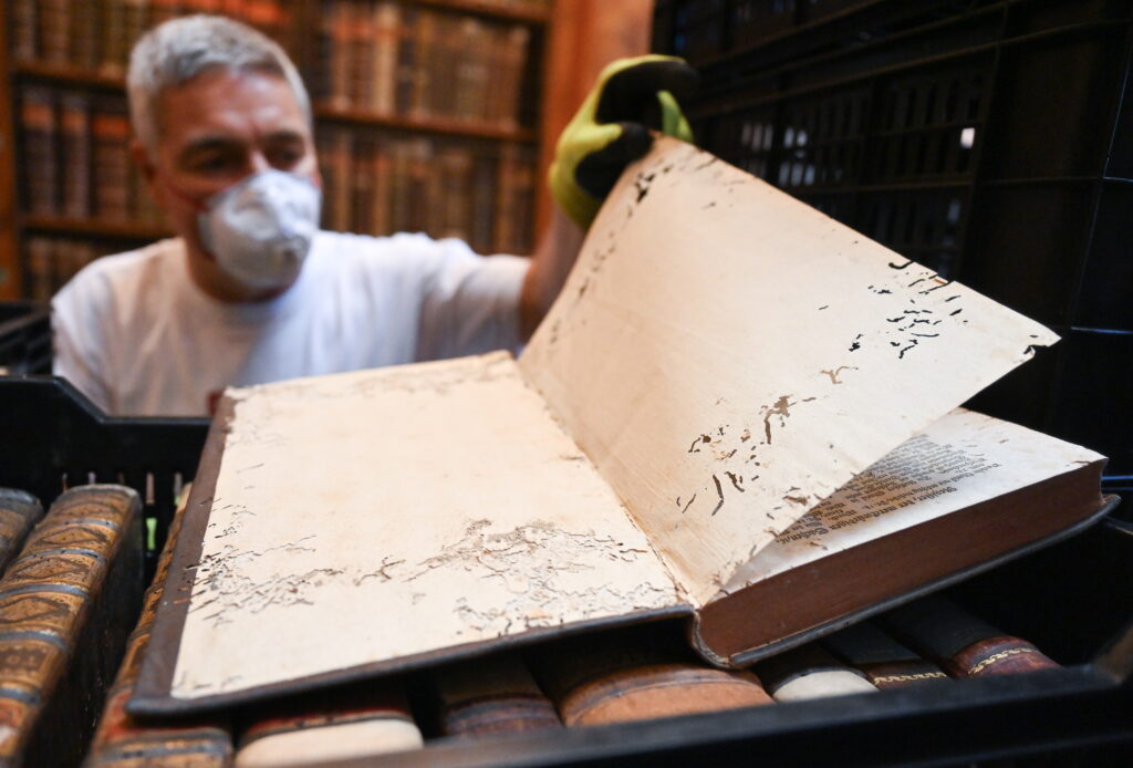 Voracious Library Visitors: Book-Eating Insects Invade Pannonhalma Archabbey post's picture
