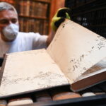 Voracious Library Visitors: Book-Eating Insects Invade Pannonhalma Archabbey