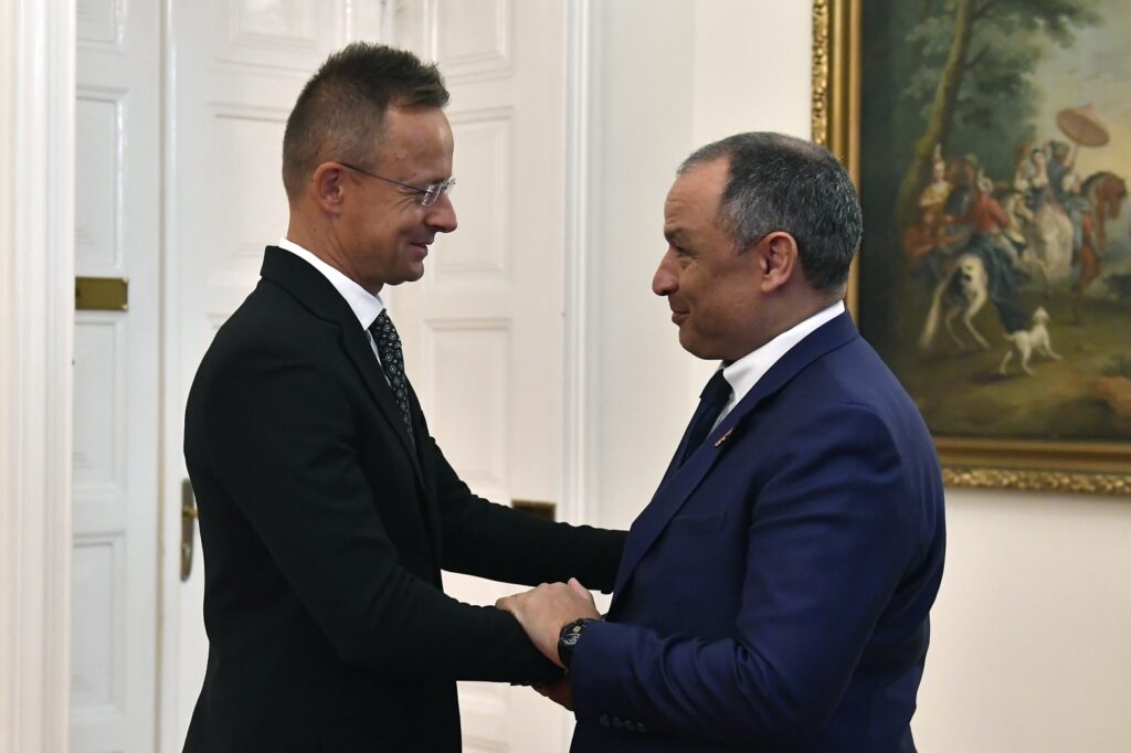 Foreign Minister: Europe Needs Cooperation, Not Tariffs, with Africa and China post's picture