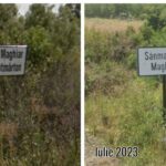 Bilingual Village Signs Removed in Romania, Sparking Protest