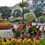 Two Towns Represent Hungary in Prestigious Flower Competition