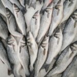 Lake Balaton Still Tops Hungary’s Fishing Rankings despite Decline