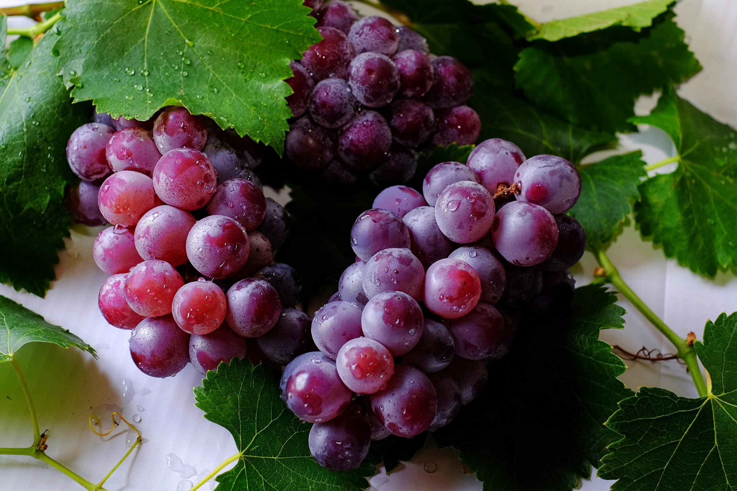New Hope for a Reversal Amid Declining Wine Production