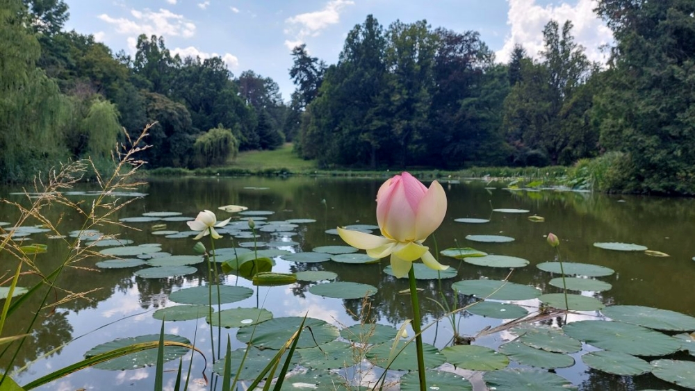 Vácrátót Garden Wins Spot on Europe’s Map of Historic Landscapes