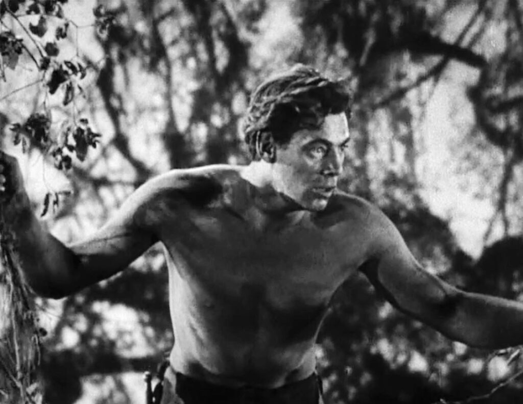 Permanent Exhibition to Honor “Tarzan” Star Johnny Weissmüller post's picture